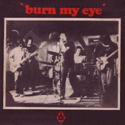 Radio Birdman : Burn My Eye